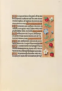 Hours of Queen Isabella the Catholic, Queen of Spain:  Fol. 240r by Master of the First Prayerbook of Maximillian (Flemish, c. 1444–1519)