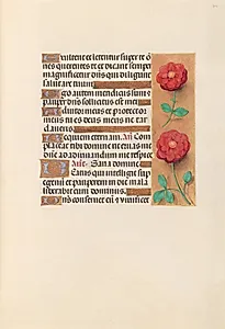 Hours of Queen Isabella the Catholic, Queen of Spain:  Fol. 241r by Master of the First Prayerbook of Maximillian (Flemish, c. 1444–1519)