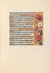 Hours of Queen Isabella the Catholic, Queen of Spain:  Fol. 243r by Master of the First Prayerbook of Maximillian (Flemish, c. 1444–1519)