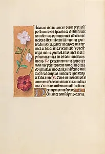 Hours of Queen Isabella the Catholic, Queen of Spain:  Fol. 244v by Master of the First Prayerbook of Maximillian (Flemish, c. 1444–1519)
