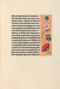 Hours of Queen Isabella the Catholic, Queen of Spain:  Fol. 245r by Master of the First Prayerbook of Maximillian (Flemish, c. 1444–1519)