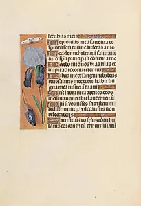 Hours of Queen Isabella the Catholic, Queen of Spain:  Fol. 247v by Master of the First Prayerbook of Maximillian (Flemish, c. 1444–1519)
