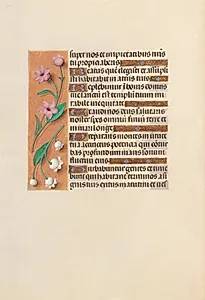 Hours of Queen Isabella the Catholic, Queen of Spain:  Fol. 248v by Master of the First Prayerbook of Maximillian (Flemish, c. 1444–1519)