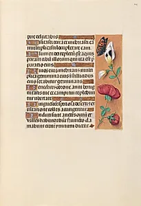 Hours of Queen Isabella the Catholic, Queen of Spain:  Fol. 249r by Master of the First Prayerbook of Maximillian (Flemish, c. 1444–1519)