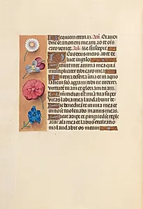 Hours of Queen Isabella the Catholic, Queen of Spain:  Fol. 249v by Master of the First Prayerbook of Maximillian (Flemish, c. 1444–1519)