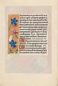 Hours of Queen Isabella the Catholic, Queen of Spain:  Fol. 25v by Master of the First Prayerbook of Maximillian (Flemish, c. 1444–1519)
