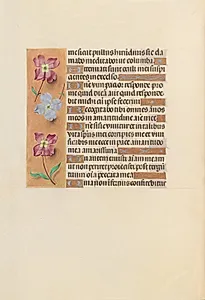 Hours of Queen Isabella the Catholic, Queen of Spain:  Fol. 251v by Master of the First Prayerbook of Maximillian (Flemish, c. 1444–1519)