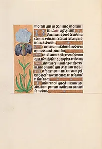 Hours of Queen Isabella the Catholic, Queen of Spain:  Fol. 254v