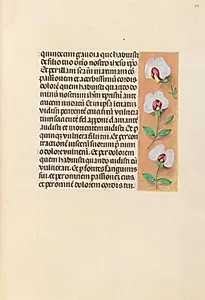Hours of Queen Isabella the Catholic, Queen of Spain:  Fol. 259r by Master of the First Prayerbook of Maximillian (Flemish, c. 1444–1519)