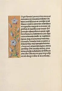 Hours of Queen Isabella the Catholic, Queen of Spain:  Fol. 259v by Master of the First Prayerbook of Maximillian (Flemish, c. 1444–1519)