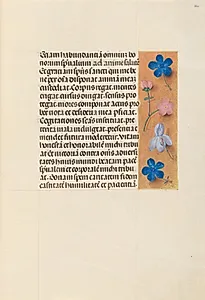Hours of Queen Isabella the Catholic, Queen of Spain:  Fol. 260r by Master of the First Prayerbook of Maximillian (Flemish, c. 1444–1519)