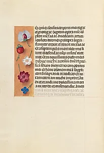 Hours of Queen Isabella the Catholic, Queen of Spain:  Fol. 260v, Pieta by Master of the First Prayerbook of Maximillian (Flemish, c. 1444–1519)