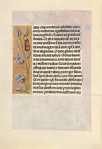 Hours of Queen Isabella the Catholic, Queen of Spain:  Fol. 262v by Master of the First Prayerbook of Maximillian (Flemish, c. 1444–1519)