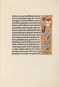 Hours of Queen Isabella the Catholic, Queen of Spain:  Fol. 263r by Master of the First Prayerbook of Maximillian (Flemish, c. 1444–1519)