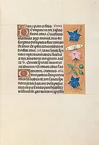 Hours of Queen Isabella the Catholic, Queen of Spain:  Fol. 33r by Master of the First Prayerbook of Maximillian (Flemish, c. 1444–1519)