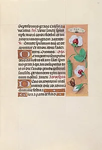 Hours of Queen Isabella the Catholic, Queen of Spain:  Fol. 35r by Master of the First Prayerbook of Maximillian (Flemish, c. 1444–1519)