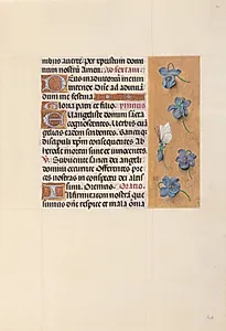 Hours of Queen Isabella the Catholic, Queen of Spain:  Fol. 40r by Master of the First Prayerbook of Maximillian (Flemish, c. 1444–1519)