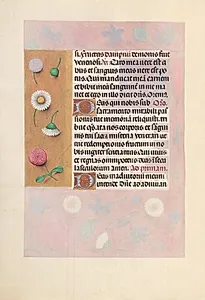 Hours of Queen Isabella the Catholic, Queen of Spain:  Fol. 44v by Master of the First Prayerbook of Maximillian (Flemish, c. 1444–1519)