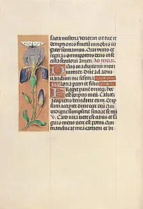 Hours of Queen Isabella the Catholic, Queen of Spain:  Fol. 45v by Master of the First Prayerbook of Maximillian (Flemish, c. 1444–1519)