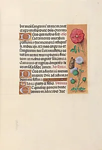 Hours of Queen Isabella the Catholic, Queen of Spain:  Fol. 46r by Master of the First Prayerbook of Maximillian (Flemish, c. 1444–1519)