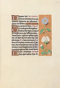 Hours of Queen Isabella the Catholic, Queen of Spain:  Fol. 47r by Master of the First Prayerbook of Maximillian (Flemish, c. 1444–1519)