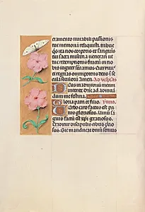 Hours of Queen Isabella the Catholic, Queen of Spain:  Fol. 47v by Master of the First Prayerbook of Maximillian (Flemish, c. 1444–1519)