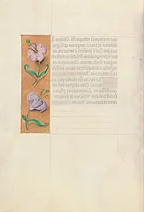 Hours of Queen Isabella the Catholic, Queen of Spain:  Fol. 49v by Master of the First Prayerbook of Maximillian (Flemish, c. 1444–1519)
