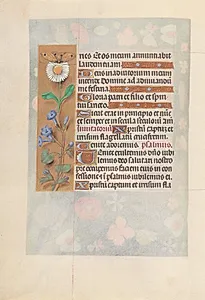 Hours of Queen Isabella the Catholic, Queen of Spain:  Fol. 50v by Master of the First Prayerbook of Maximillian (Flemish, c. 1444–1519)