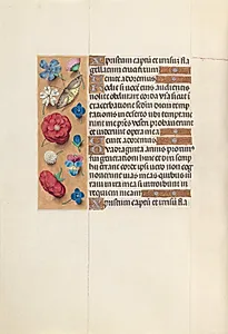 Hours of Queen Isabella the Catholic, Queen of Spain:  Fol. 51v by Master of the First Prayerbook of Maximillian (Flemish, c. 1444–1519)