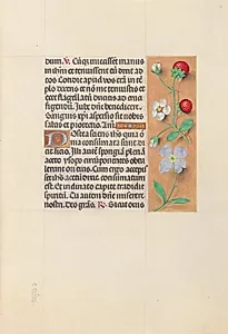 Hours of Queen Isabella the Catholic, Queen of Spain:  Fol. 55r by Master of the First Prayerbook of Maximillian (Flemish, c. 1444–1519)