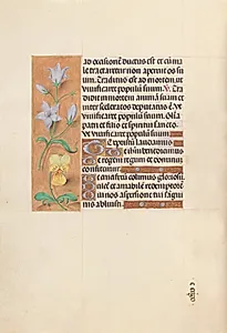 Hours of Queen Isabella the Catholic, Queen of Spain:  Fol. 55v by Master of the First Prayerbook of Maximillian (Flemish, c. 1444–1519)