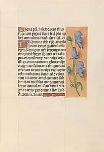 Hours of Queen Isabella the Catholic, Queen of Spain:  Fol. 60r by Master of the First Prayerbook of Maximillian (Flemish, c. 1444–1519)