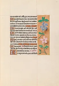 Hours of Queen Isabella the Catholic, Queen of Spain:  Fol. 62r by Master of the First Prayerbook of Maximillian (Flemish, c. 1444–1519)