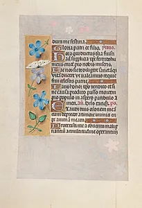 Hours of Queen Isabella the Catholic, Queen of Spain:  Fol. 63v by Master of the First Prayerbook of Maximillian (Flemish, c. 1444–1519)
