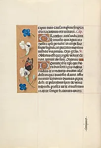 Hours of Queen Isabella the Catholic, Queen of Spain:  Fol. 67v by Master of the First Prayerbook of Maximillian (Flemish, c. 1444–1519)
