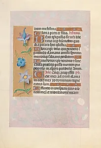 Hours of Queen Isabella the Catholic, Queen of Spain:  Fol. 69v by Master of the First Prayerbook of Maximillian (Flemish, c. 1444–1519)