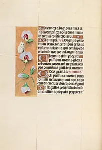 Hours of Queen Isabella the Catholic, Queen of Spain:  Fol. 74v by Master of the First Prayerbook of Maximillian (Flemish, c. 1444–1519)