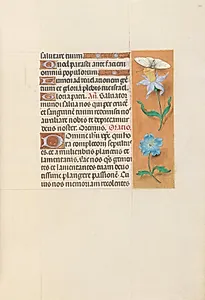 Hours of Queen Isabella the Catholic, Queen of Spain:  Fol. 79r by Master of the First Prayerbook of Maximillian (Flemish, c. 1444–1519)