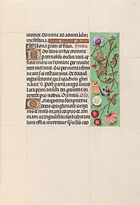 Hours of Queen Isabella the Catholic, Queen of Spain:  Fol. 82r by Master of the First Prayerbook of Maximillian (Flemish, c. 1444–1519)