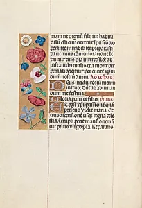 Hours of Queen Isabella the Catholic, Queen of Spain:  Fol. 84v by Master of the First Prayerbook of Maximillian (Flemish, c. 1444–1519)