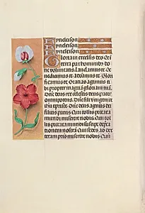 Hours of Queen Isabella the Catholic, Queen of Spain:  Fol. 89v by Master of the First Prayerbook of Maximillian (Flemish, c. 1444–1519)