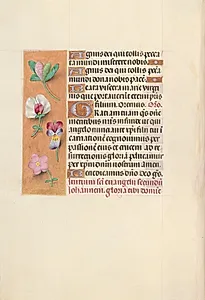 Hours of Queen Isabella the Catholic, Queen of Spain:  Fol. 92v by Master of the First Prayerbook of Maximillian (Flemish, c. 1444–1519)