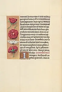 Hours of Queen Isabella the Catholic, Queen of Spain:  Fol. 93v by Master of the First Prayerbook of Maximillian (Flemish, c. 1444–1519)