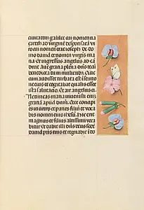 Hours of Queen Isabella the Catholic, Queen of Spain:  Fol. 94r by Master of the First Prayerbook of Maximillian (Flemish, c. 1444–1519)