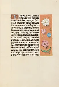 Hours of Queen Isabella the Catholic, Queen of Spain:  Fol. 95r by Master of the First Prayerbook of Maximillian (Flemish, c. 1444–1519)