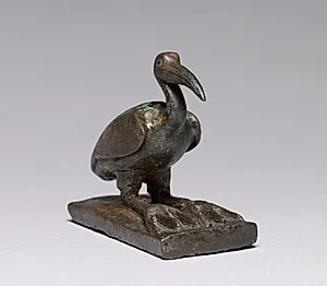 Ibis by Unknown Artist