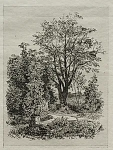 In my Bordeaux Garden by Maxime Lalanne (French, 1827–1886)