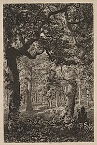 In the Woods by Adolphe Théodore Jules Martial Potémont (French, 1828–1883)