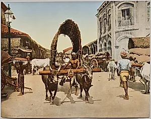 India. Ceylon. Colombo. Street Scene, after photo by Dr. Kurt Boeck by Photoglob Co. (Zurich, active c. 1890–1910)