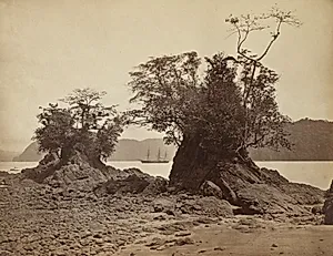Islands in Limón Bay by John Moran (American, 1829–1902)